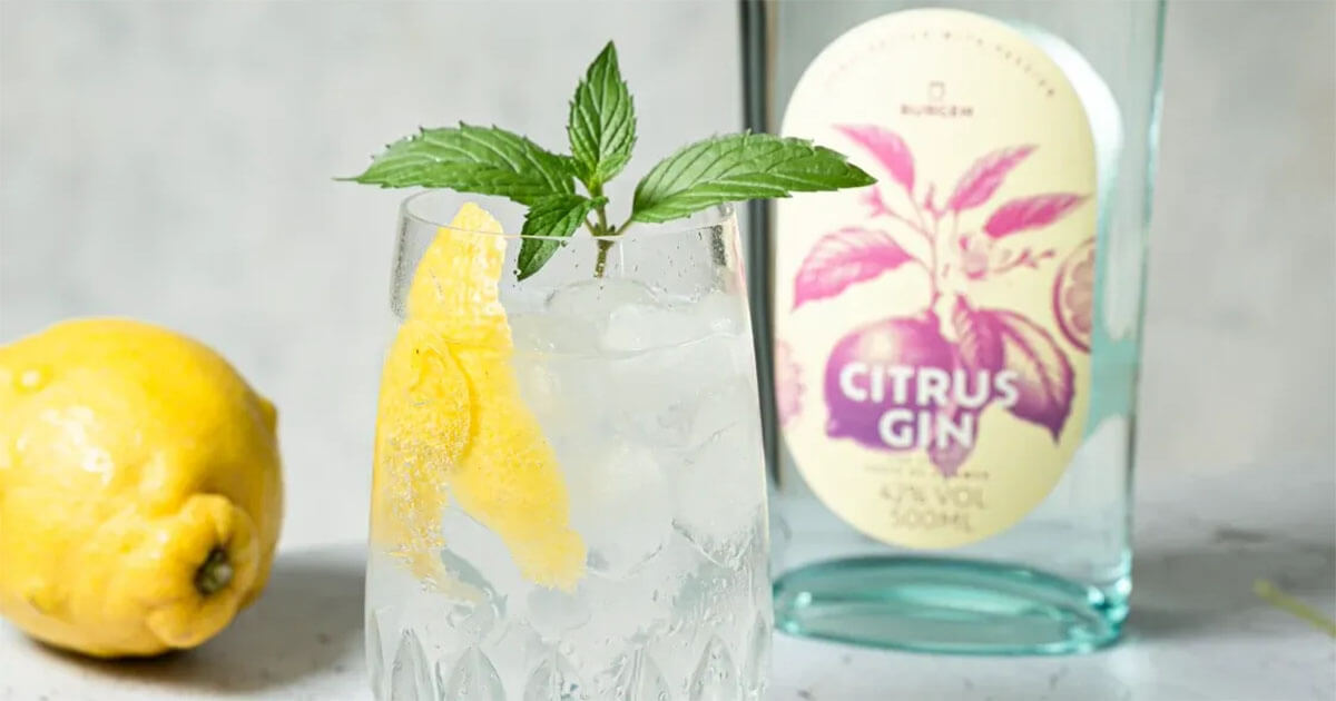 Neues Design: Schlitzer Destillerie stellt Burgen Citrus Gin vor