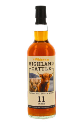 Highland Cattle 11 Jahre