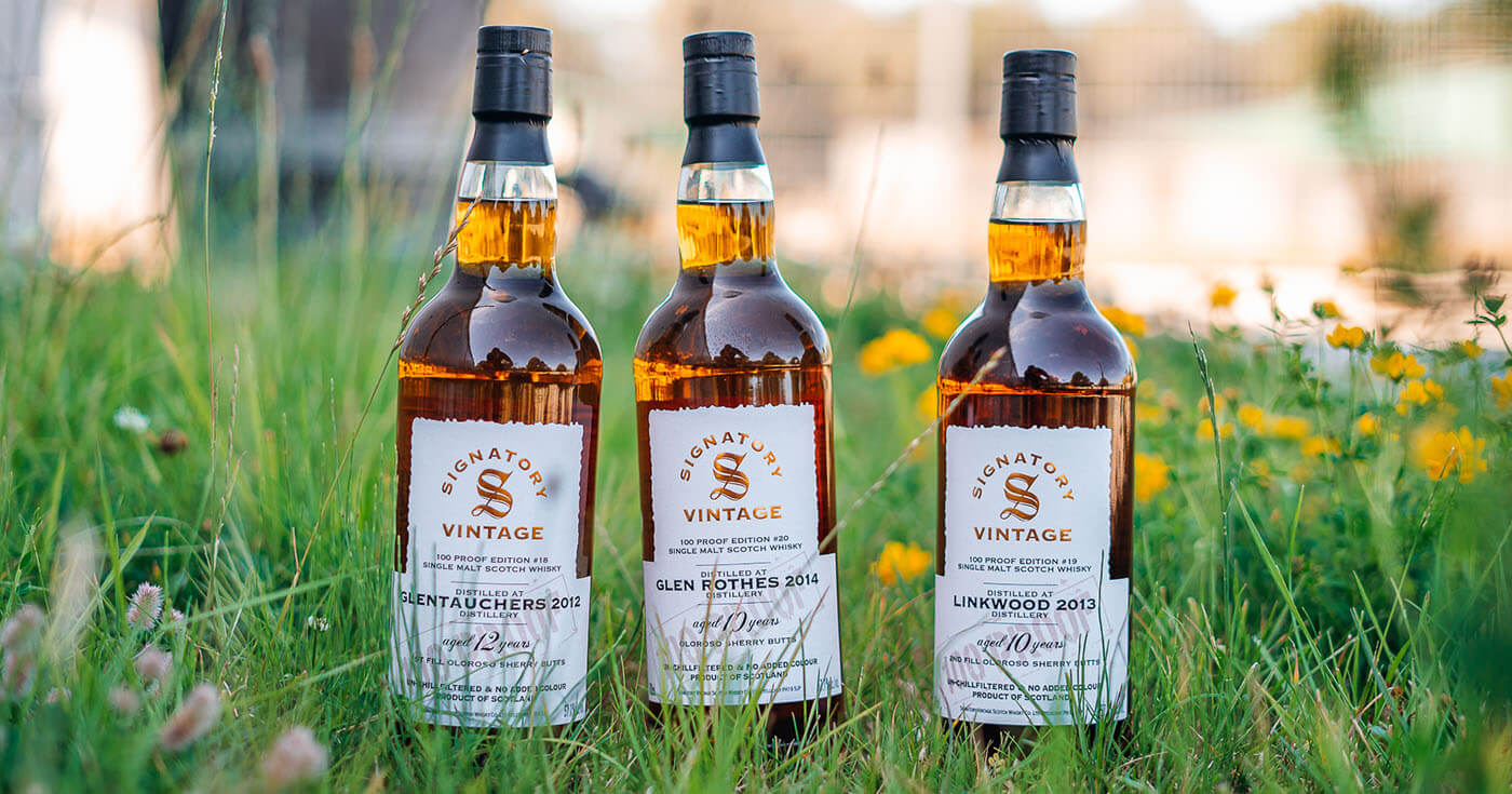 Drei Speysider: Signatory Vintage lanciert nächste 100 Proof Editions